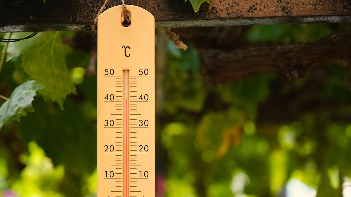 Quines són les temperatures més altes mai registrades a Catalunya? Com es validen?