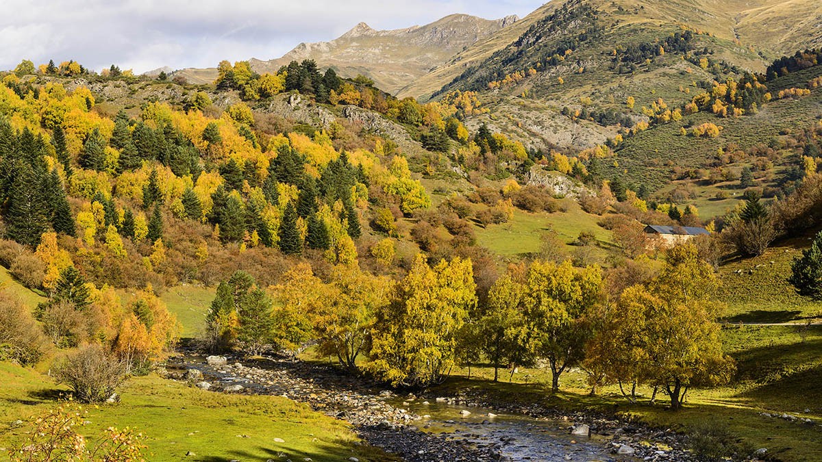 L'Alt Noguera Pallaresa és el riu més ben conservat de Catalunya - Cedida pel Parc Natural de l'Alt Pirineu