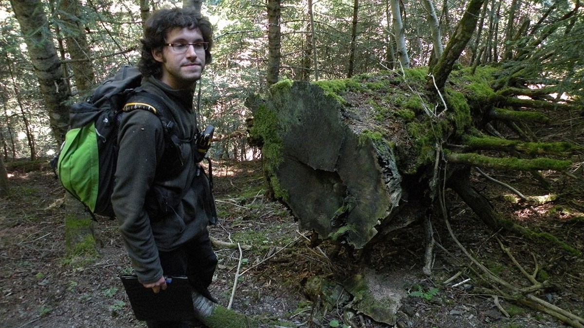 Un investigador amb un tronc mort de grans dimensions - Cedida pel CREAF