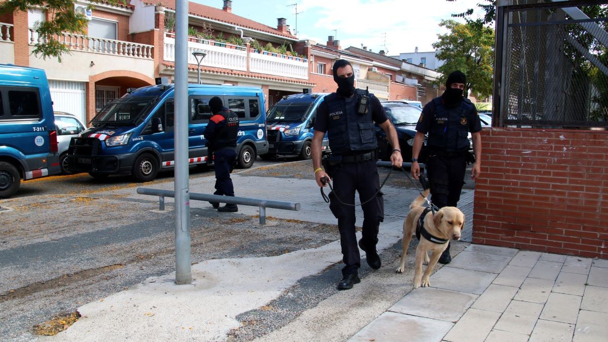 Dos detinguts en l'operatiu per desallotjar pisos públics amb plantacions de marihuana a Reus