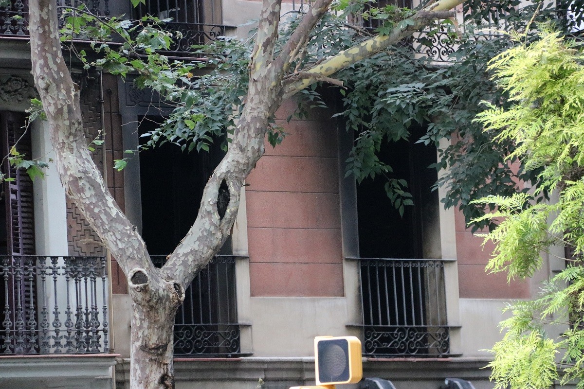 Mor una dona de 87 anys en l'incendi d'un bloc de pisos a Barcelona