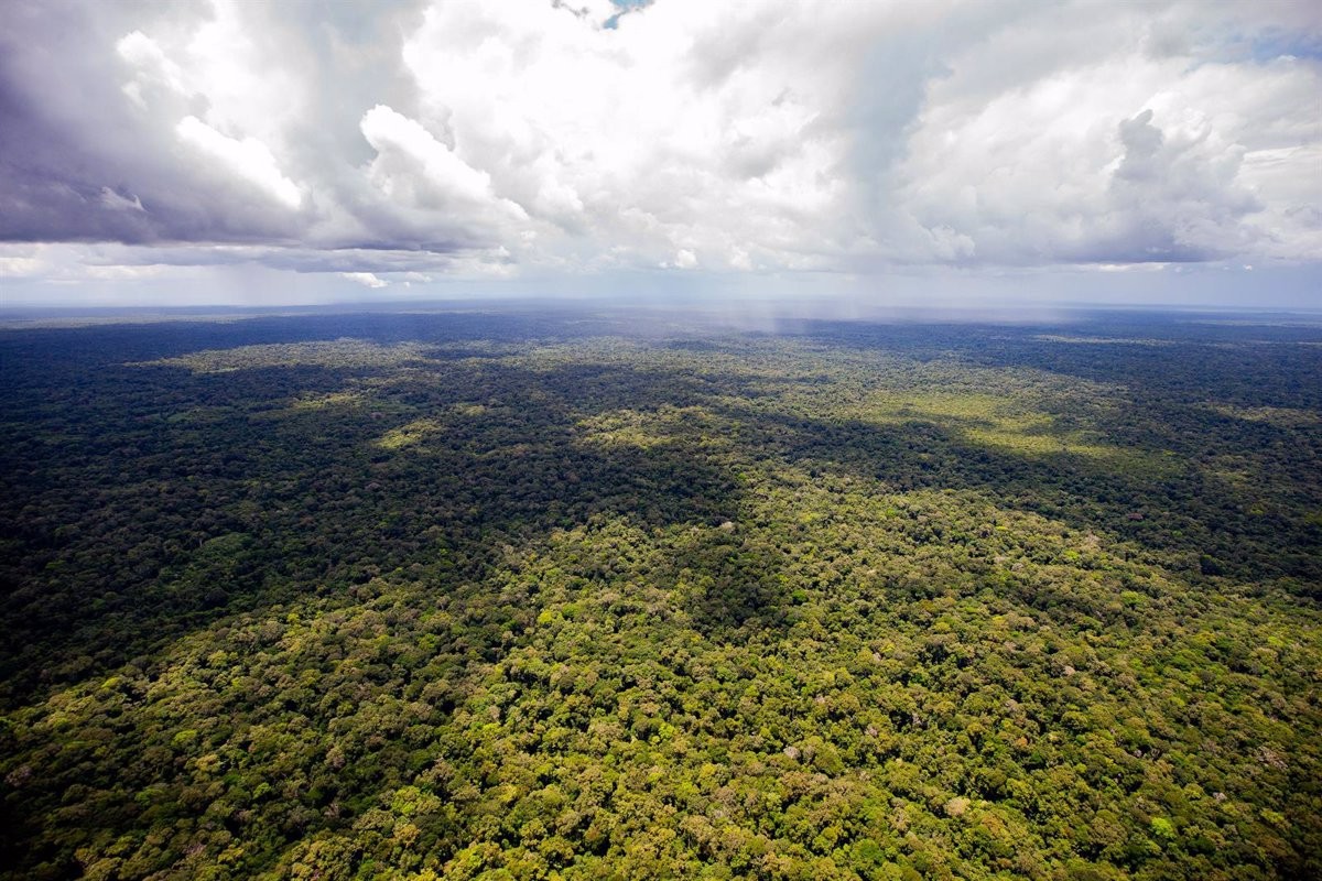 Troben amb vida els quatre nens perduts fa 40 dies a la selva de Colòmbia