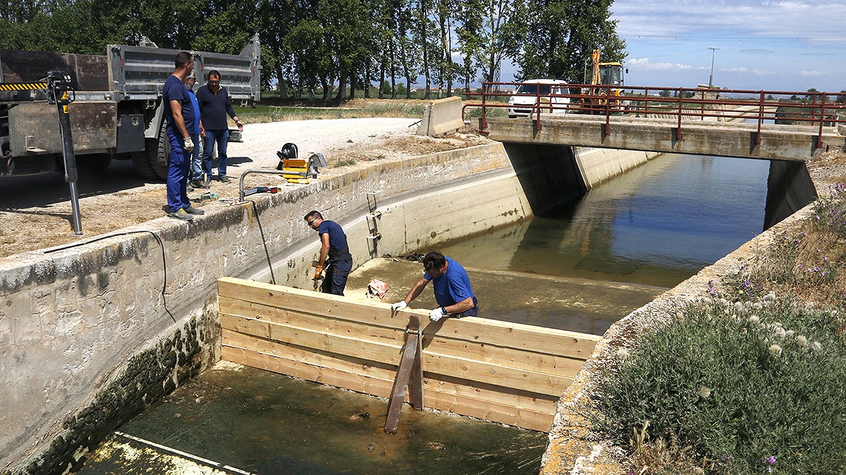 Quasi la meitat del regadiu de Catalunya és per inundació
