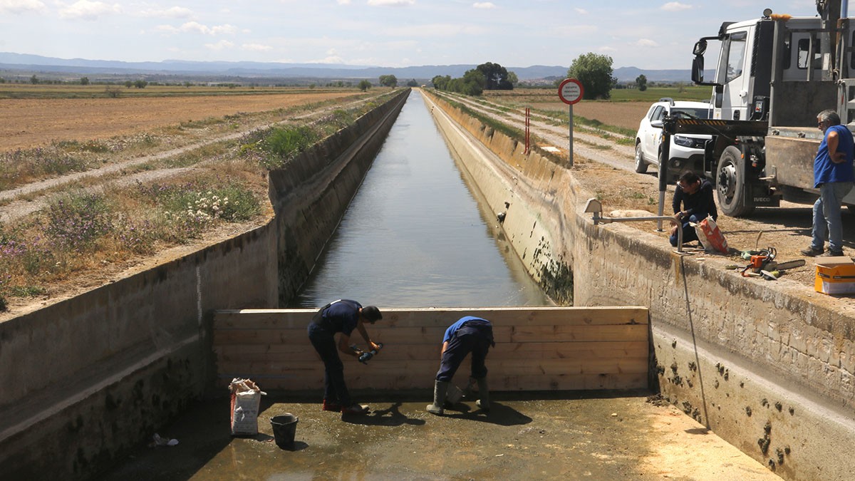 Declaren situació excepcional per sequera extraordinària a la conca del Segre