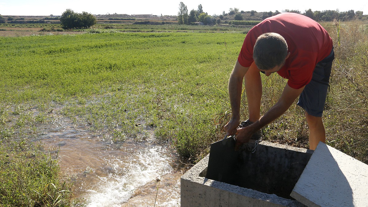 El canal d'Urgell, un miracle lleidatà en risc per la sequera