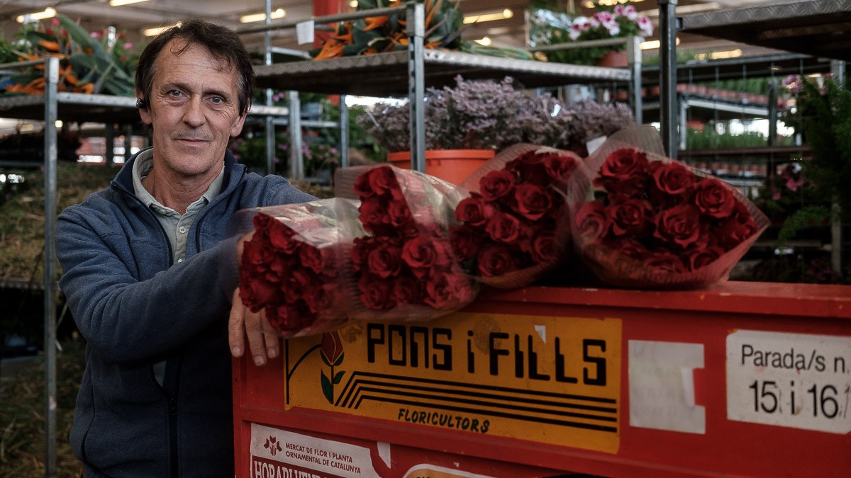 Joan Pons a la parada del Mercat de Flor i Planta Ornamental de Vilassar de Mar. - Adrià Costa Rifà