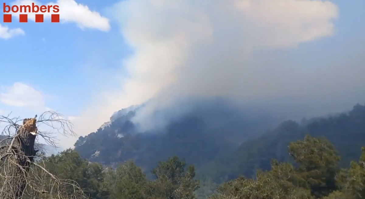 Estabilitzat l'incendi a Gandesa