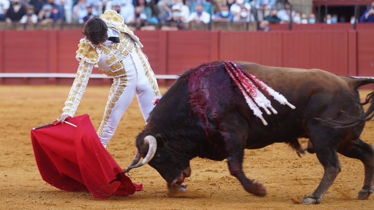 Ciutadans intenta que tornin les curses de toros a Barcelona i s'endú un sac de crítiques