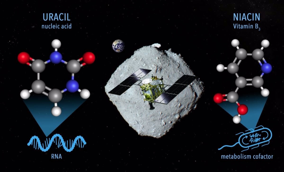 Descobreixen una molècula essencial per a la vida en un asteroide del sistema solar