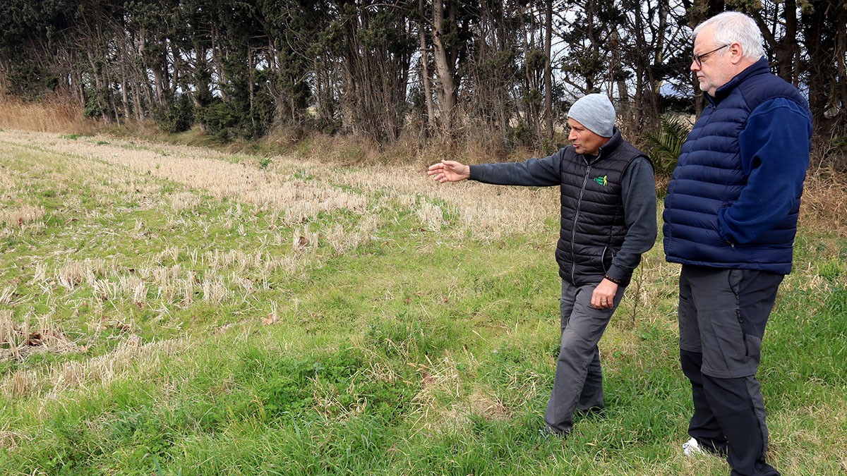 Els regants del Baix Ter i la Muga busquen alternatives al blat de moro per la sequera