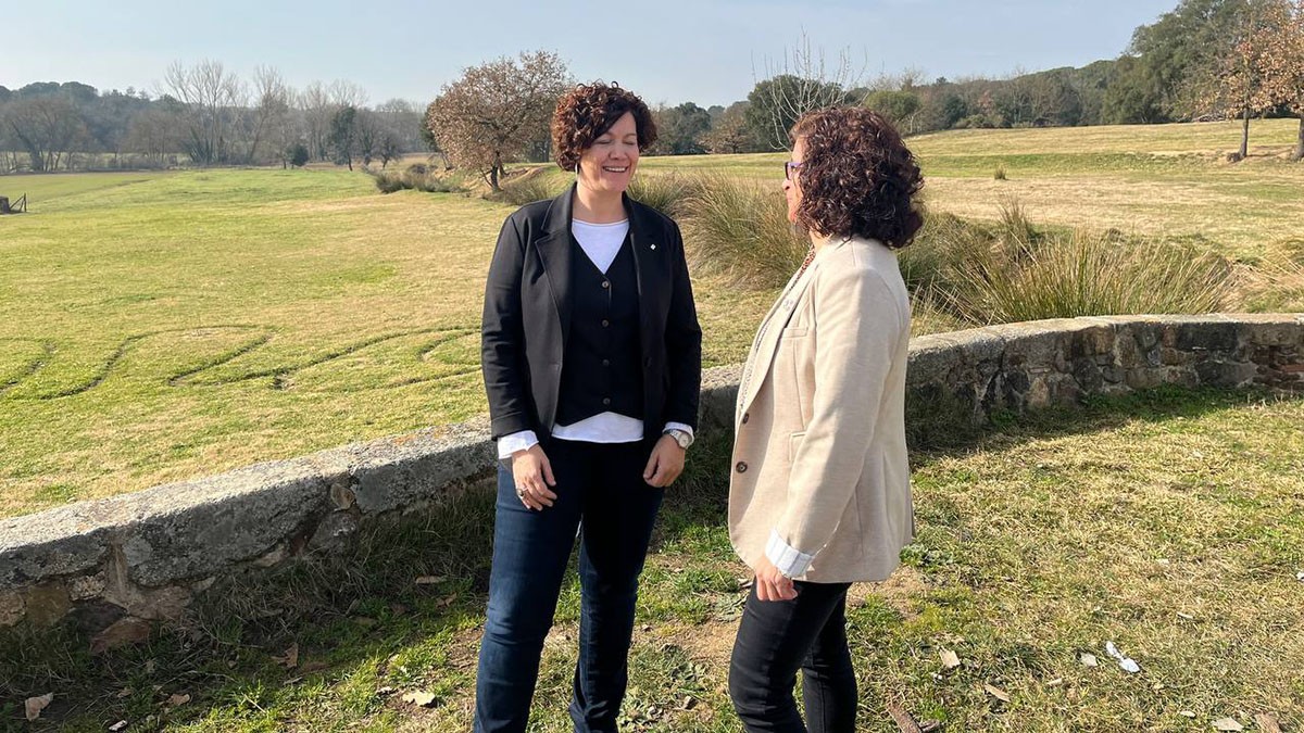 Declaren l'emergència cinegètica per senglar a 38 municipis de Girona