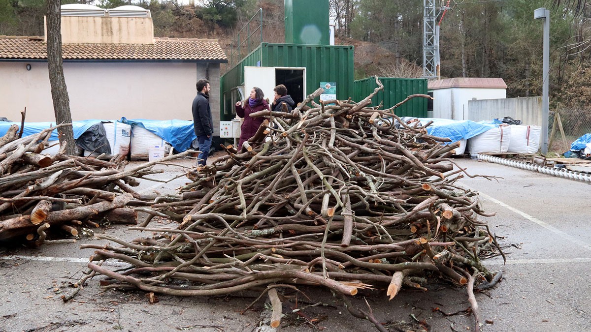 La biorefineria funciona amb biomassa forestal - ACN
