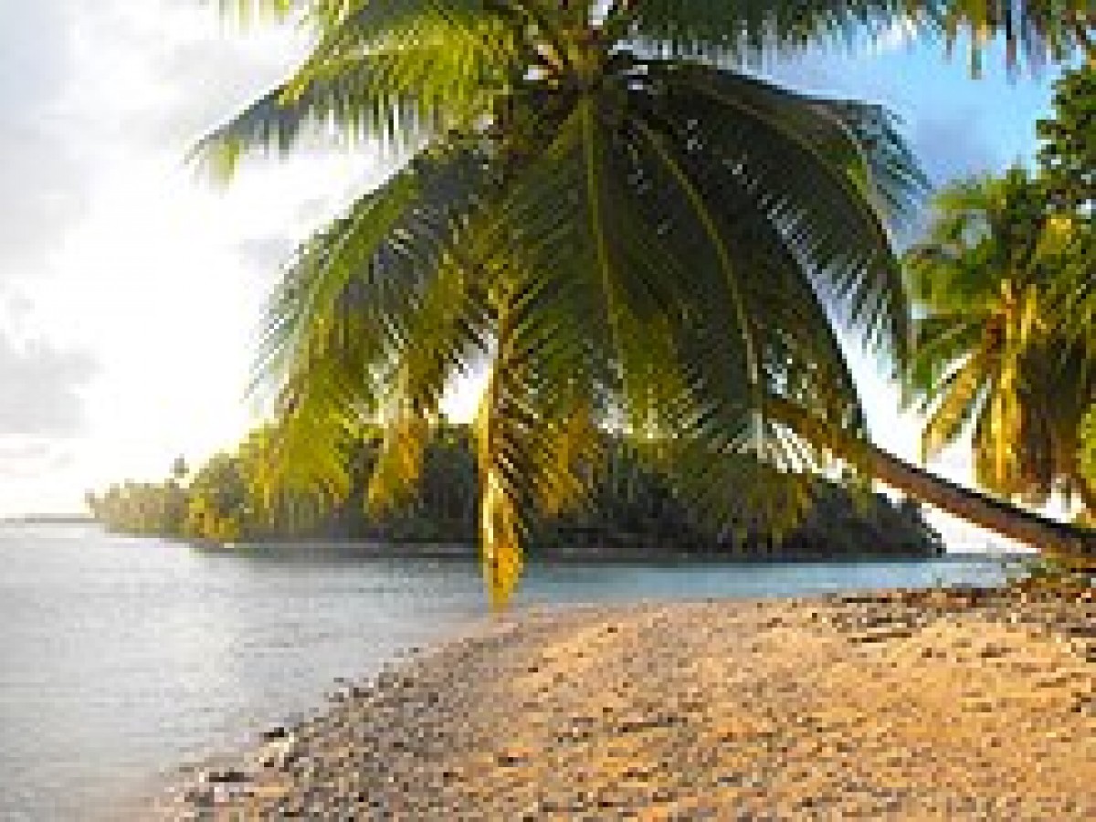 Illes Marshall - Viquipèdia