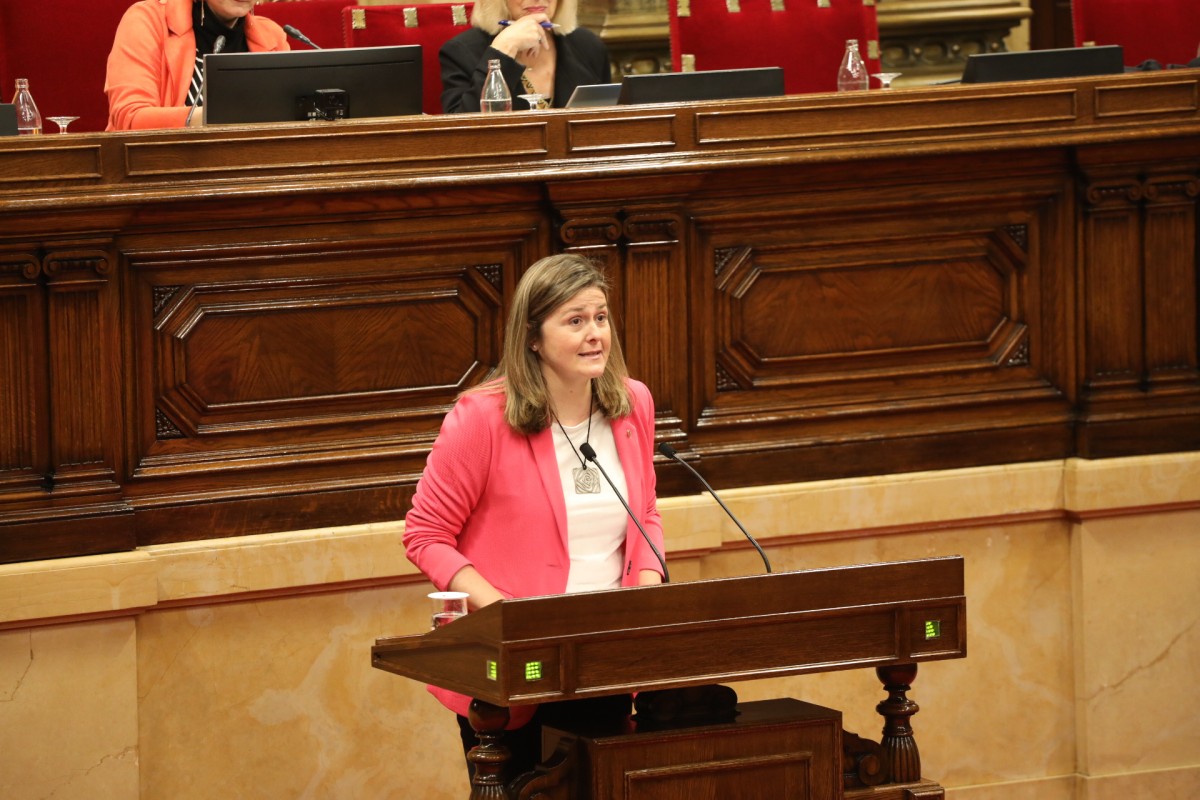 L'aranès també vol ser llengua d'ús al Congrés dels Diputats