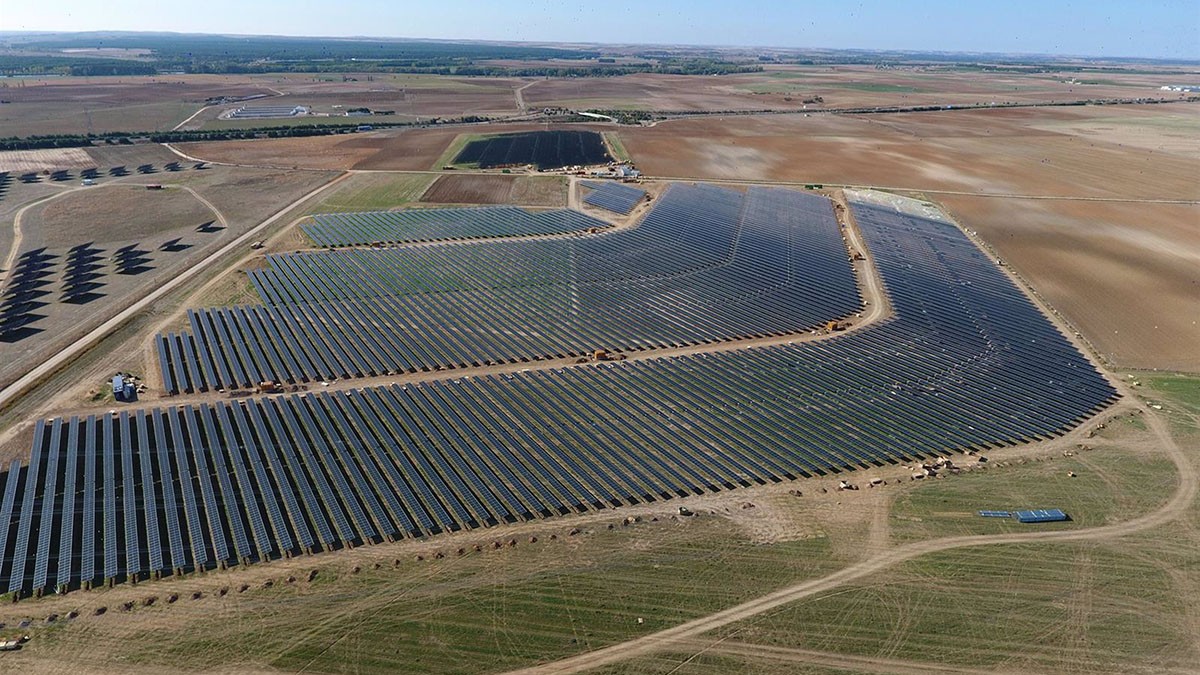 Com fer compatibles els parcs solars i la biodiversitat?