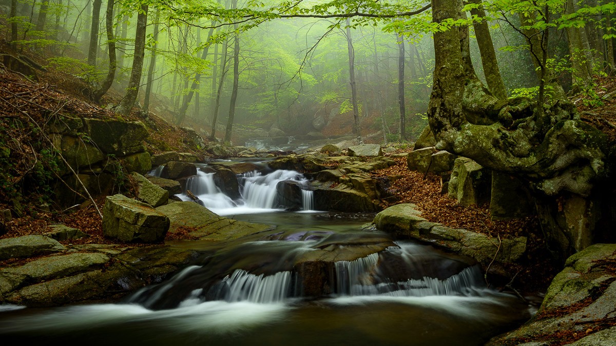 La riera de Gualba al Parc Natural del Montseny. - Agència Catalana de Turisme