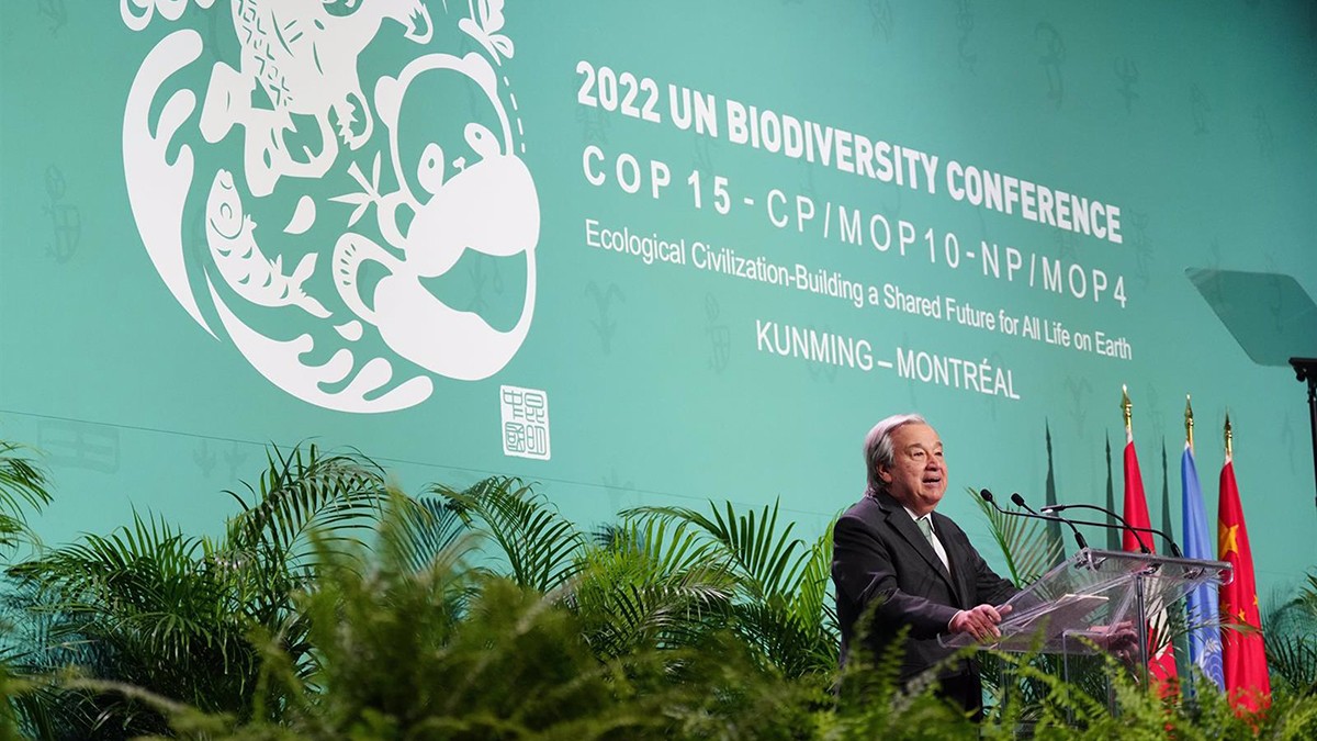A la recerca d'un «Acord de París» de la biodiversitat