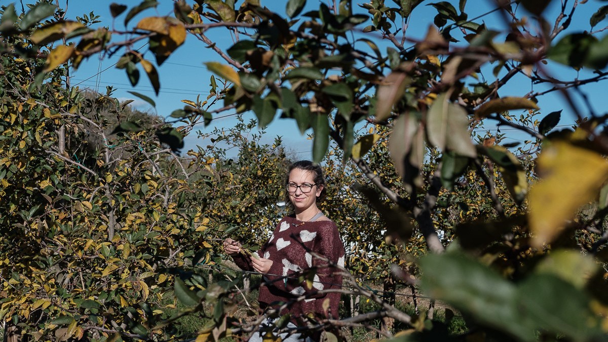 Cristina Bech fotografiada entre pomeres. - Adrià Costa