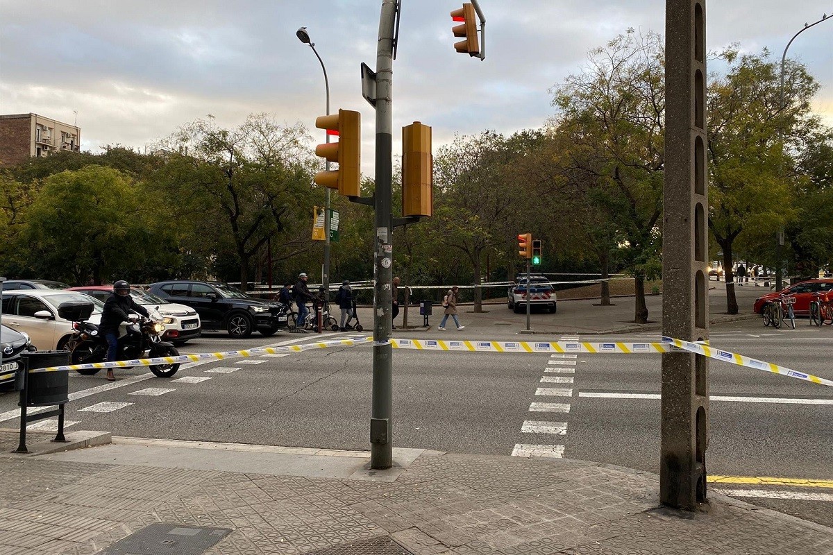Troben un mort penjat d'un arbre enmig de Barcelona
