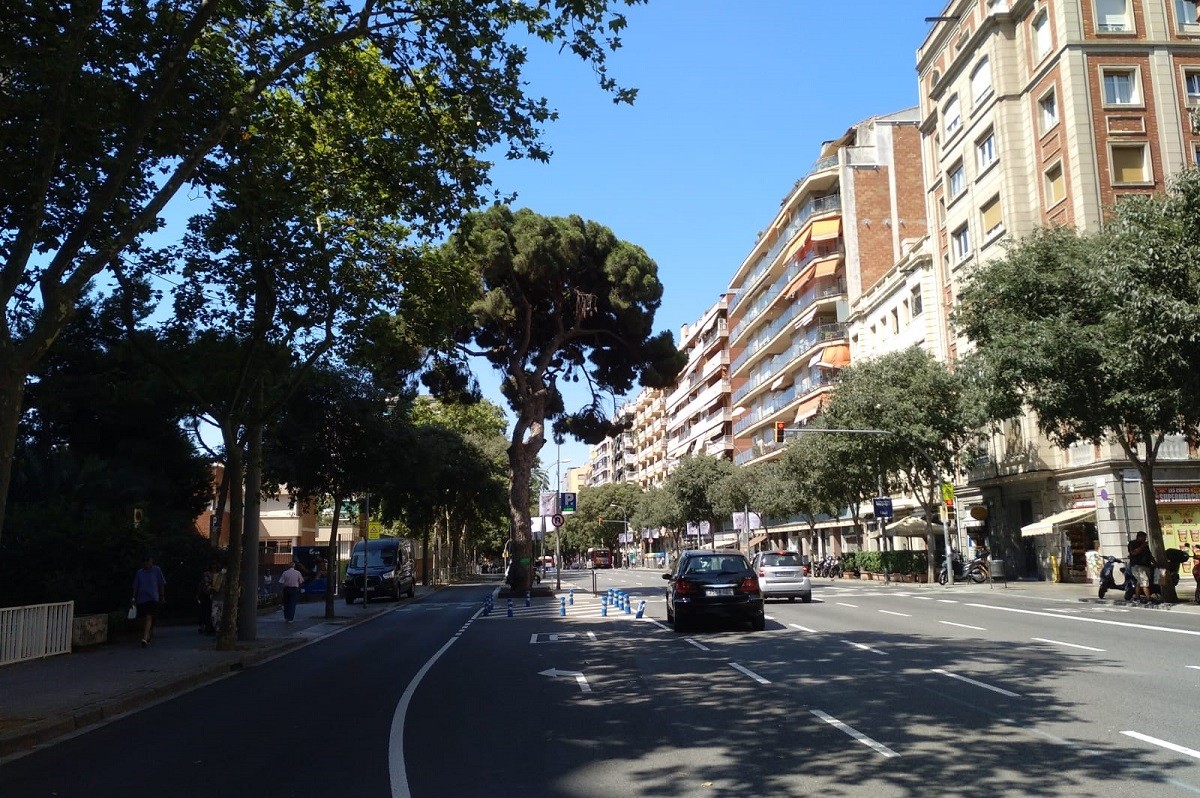 El Pi de les Corts, històric lloc de trobada dels culers - 