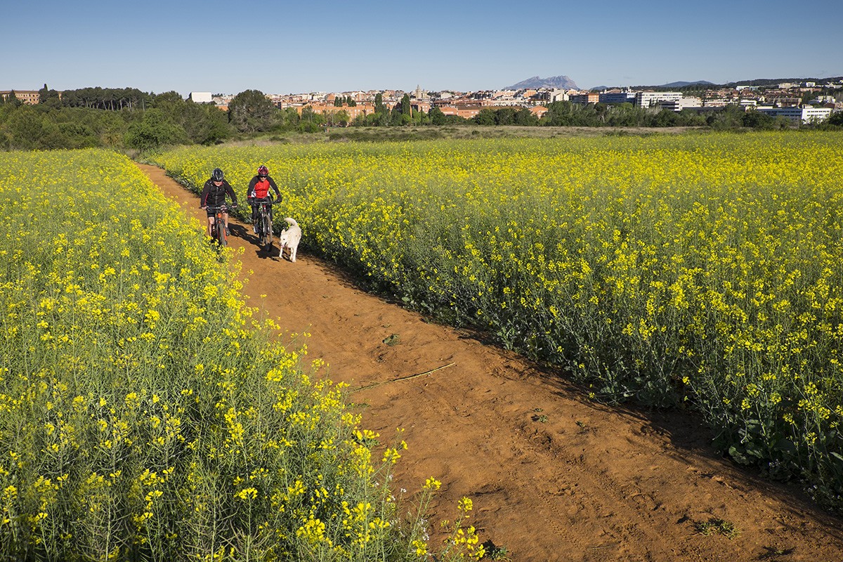 Quatre propostes per descobrir Sant Cugat del Vallès