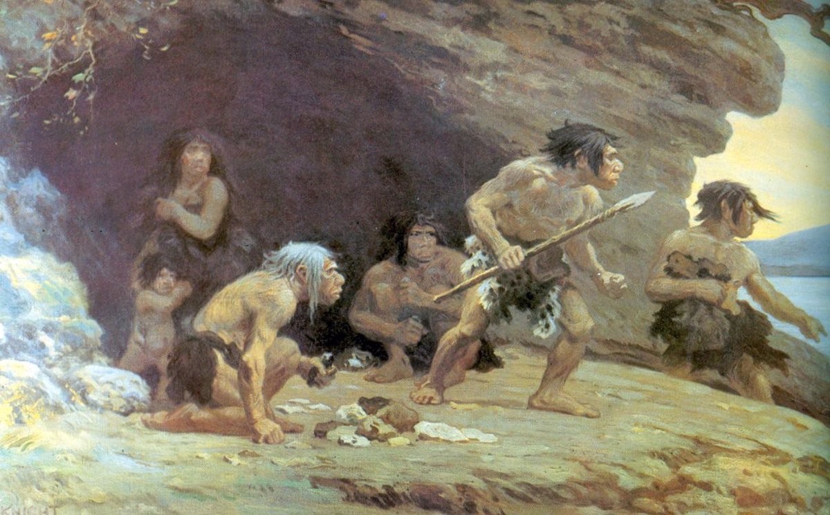 Un estudi revela que els neandertals de l'Estat eren carnívors