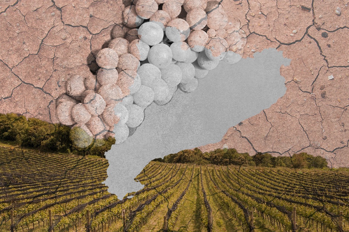 El Govern espera que la UE aconsegueixi el «màxim d'excepcions» aranzelàries per a productes catalans