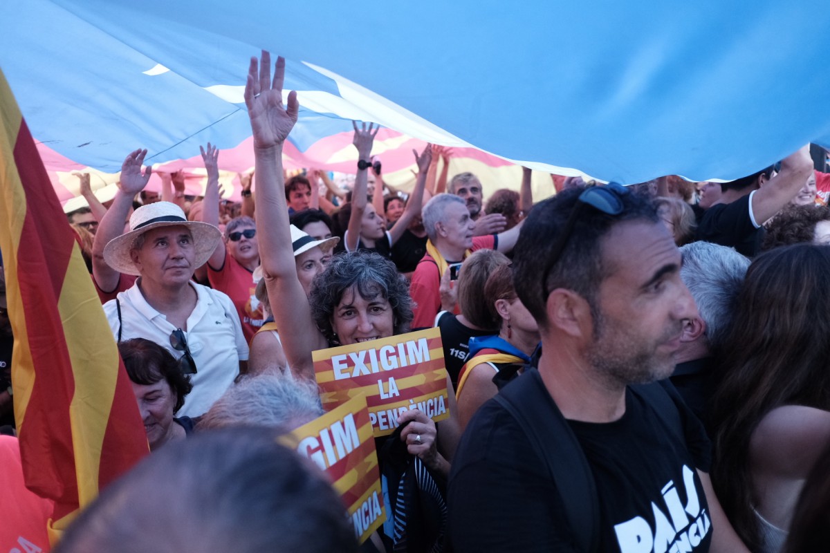 Una manifestant de la Diada amb una pancarta on es llegeix  - Adrià Costa