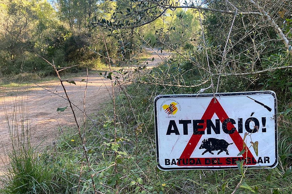 Els caçadors gironins mantenen la vaga i diumenge no hi haurà batudes de senglars