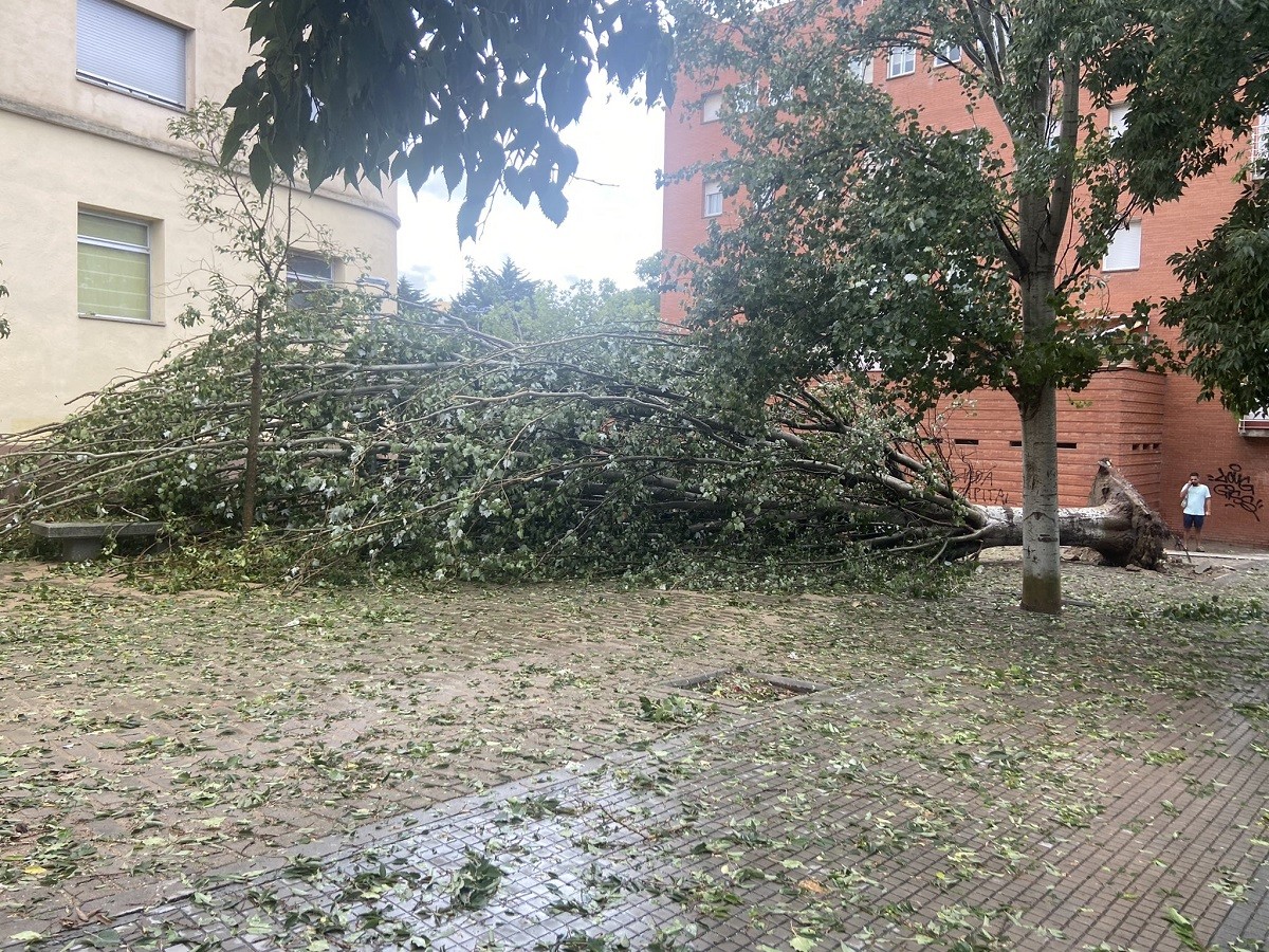 Cinc comarques en alerta per temps violent, una en perill «màxim»