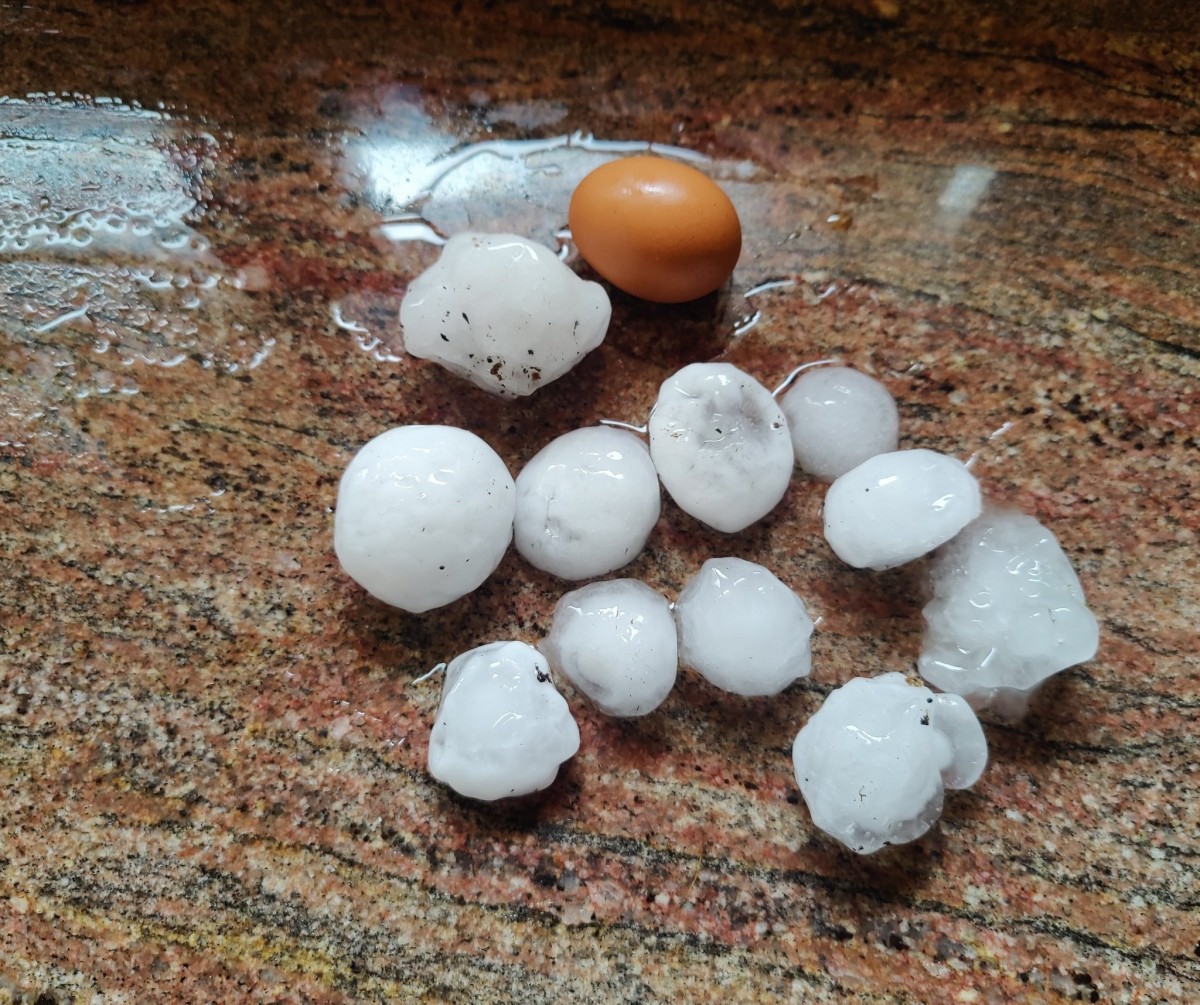 Imatge de les pedres que han caigut aquesta tarda a Amer - Meteocat