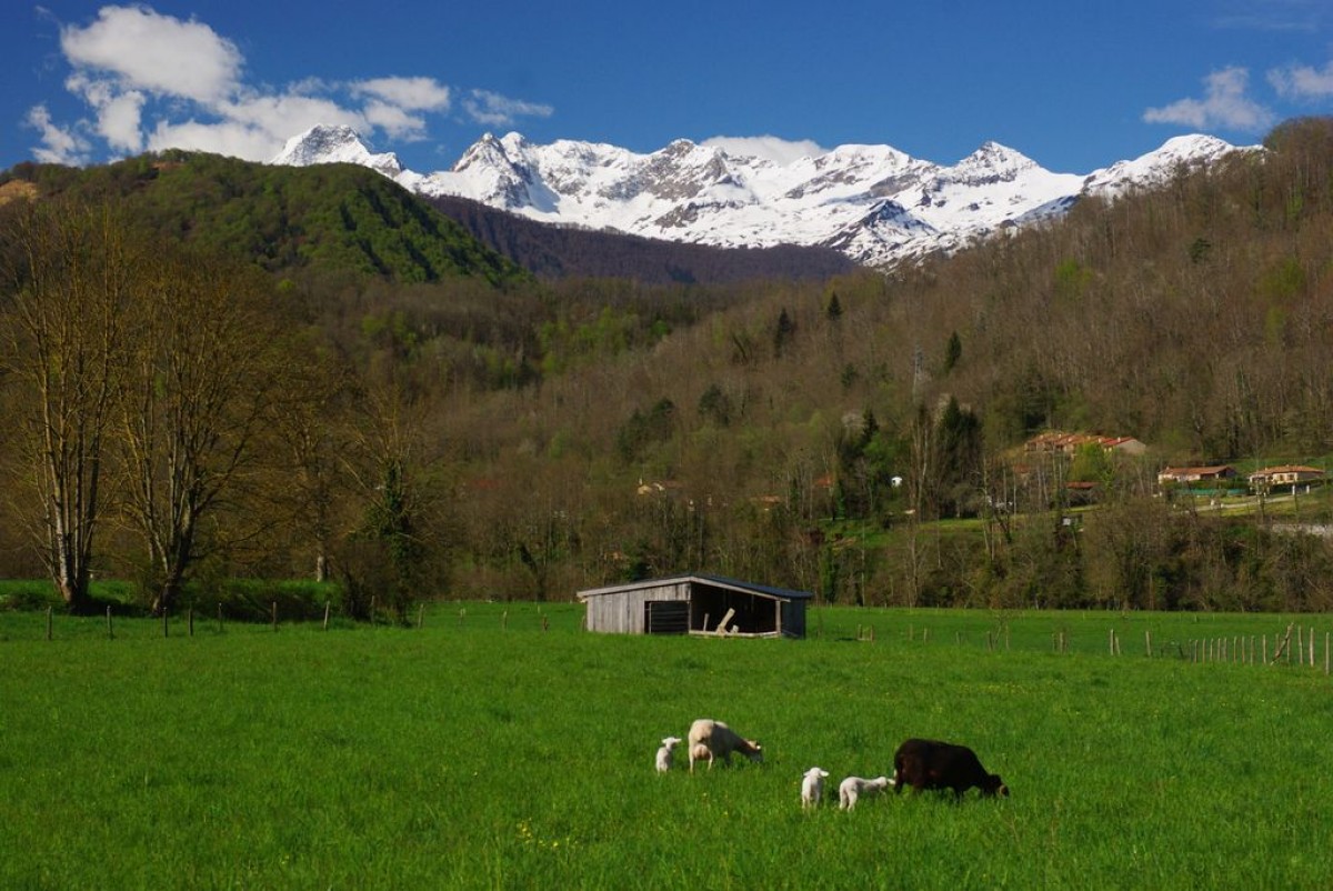 Un terratrèmol es fa notar al Pallars