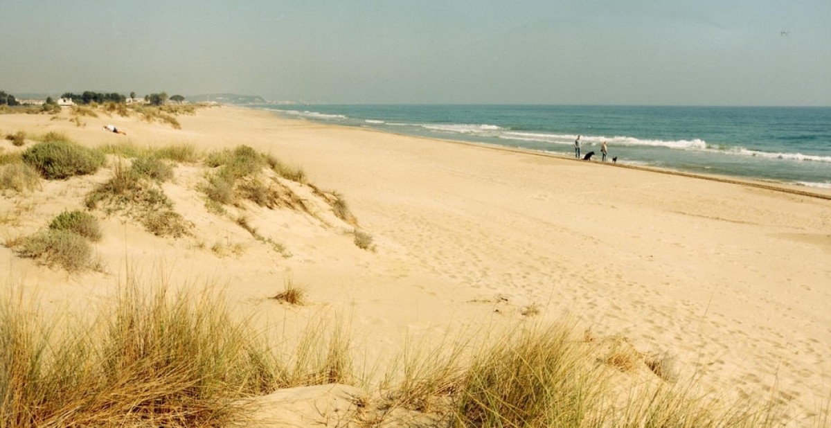 Estranya troballa de restes humanes a una platja de Torredembarra