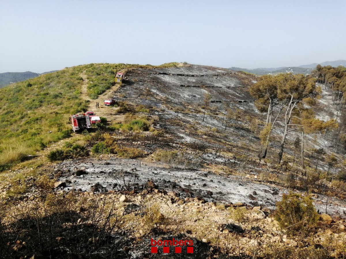Extingit l'incendi d'Artesa de Segre