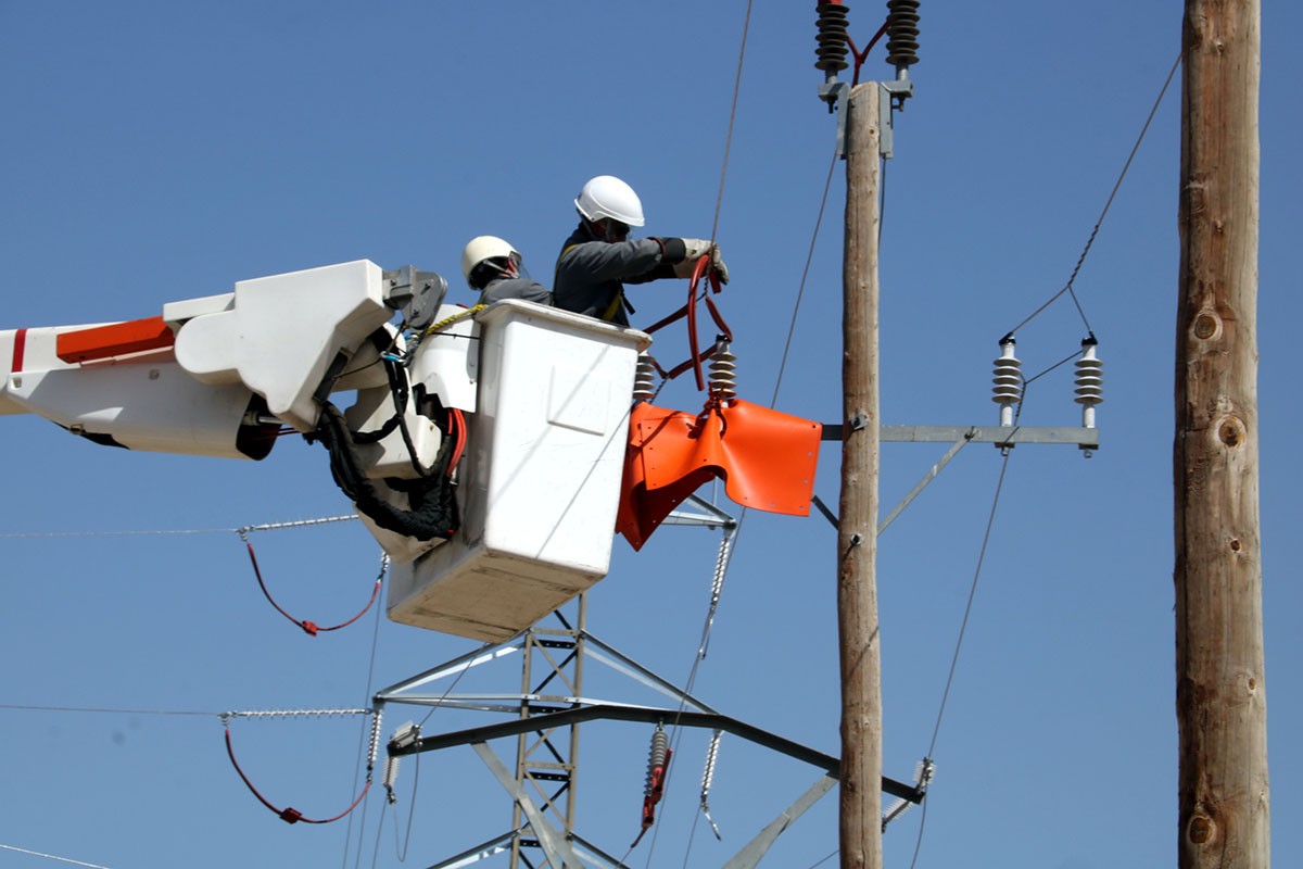 Endesa mostra als Agents Rurals els dispositius per reduir l'electrocució d'ocells