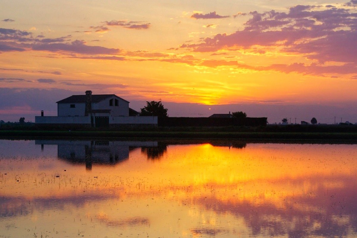 S'apropa una calorada o és la segona onada de calor de l'estiu? 