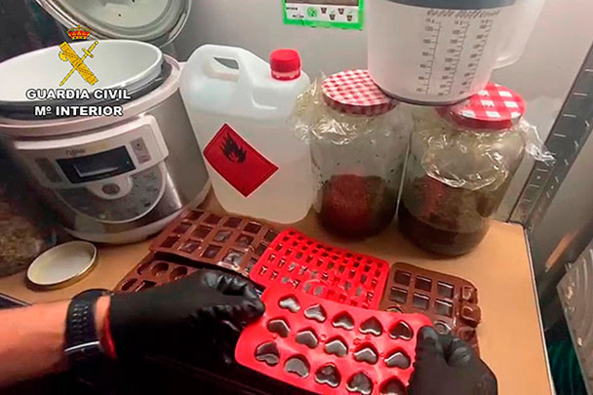 Detingut un veí de Coma-ruga que tenia un laboratori de llaminadures de marihuana