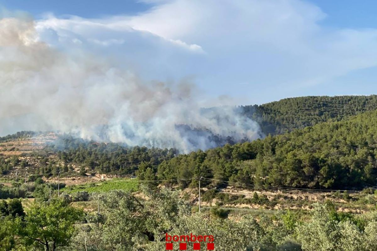 Els bombers treballen en un incendi agrícola i forestal a la Terra Alta