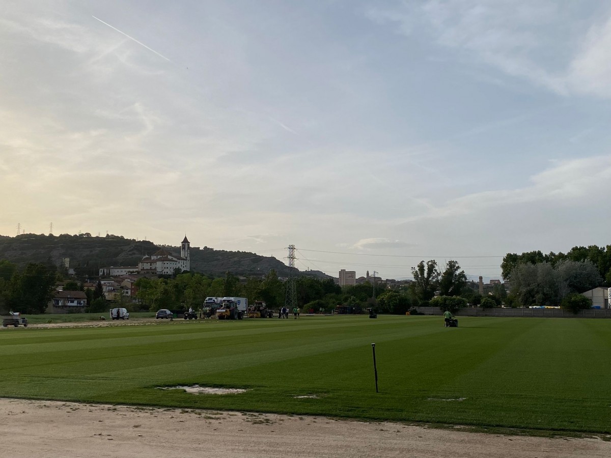 La gespa cultivada a la Gleva (Osona), en l'inici dels treballs de trasllat fets aquest diumenge. - ND