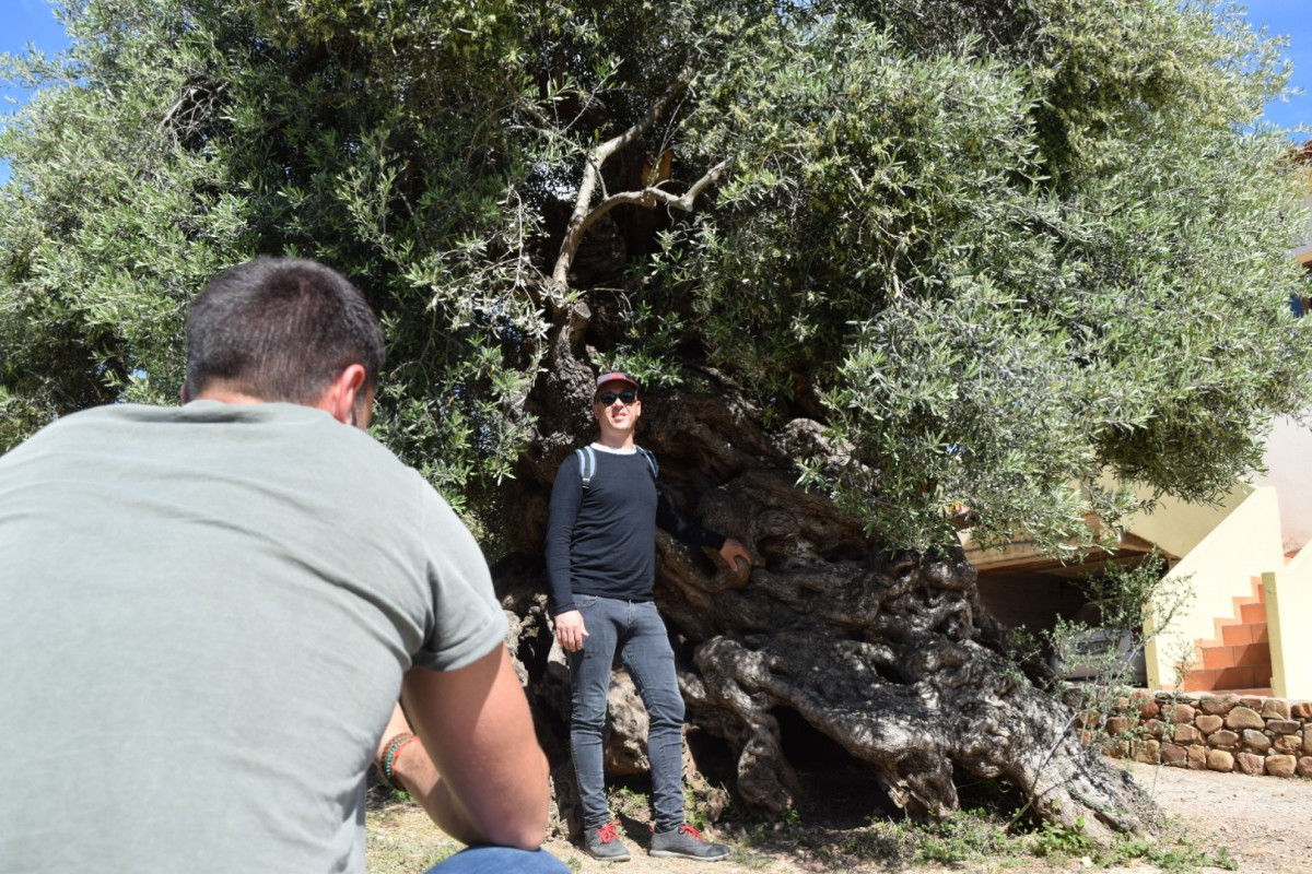 Dos membres del grup d’empresaris, al davant de l’olivera mil·lenària de Vouves - Àlvar Llobet