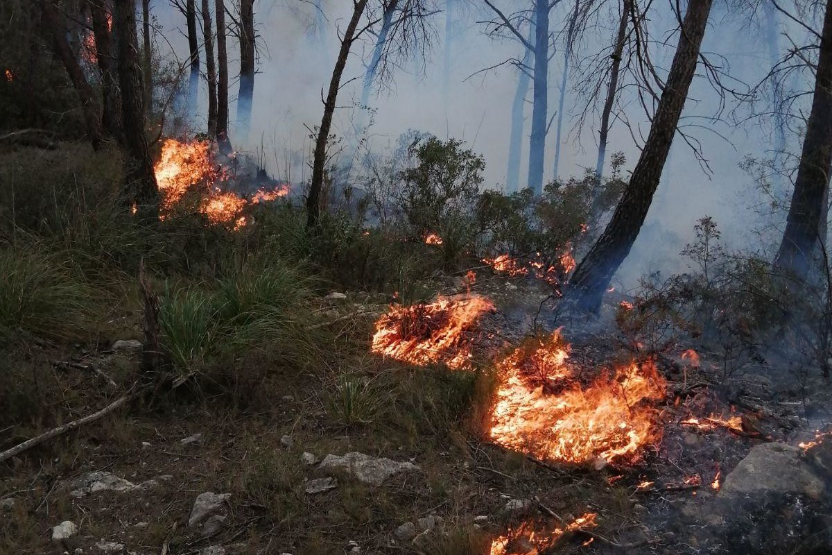 Incendi forestal a Sant Pere de Ribes - Bombers