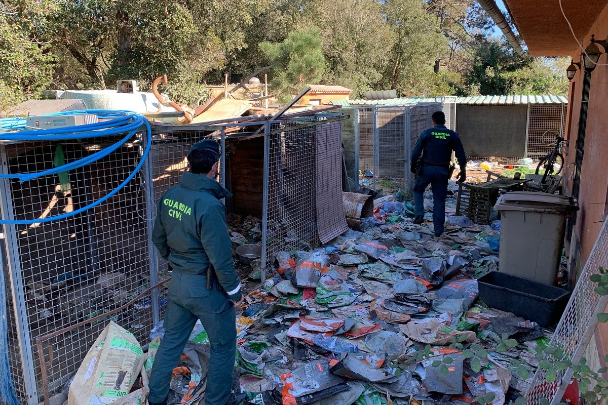 Troben 12 gossos morts i en rescaten 18 més abandonats en una finca de Lloret de Mar