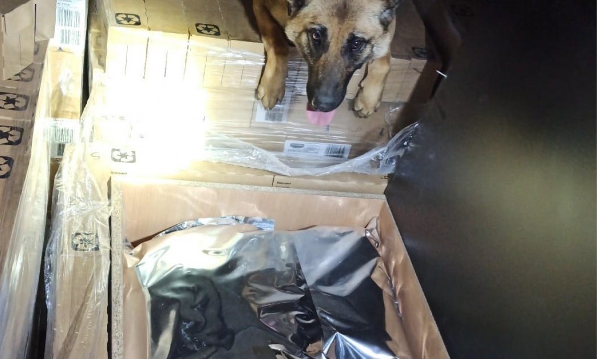 Decomissen 230 quilos de marihuana en un camió a La Jonquera