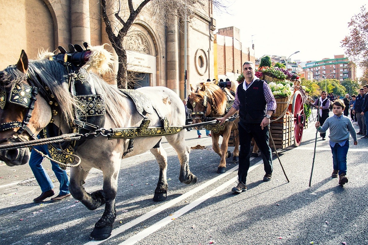 Quan i on és la cavalcada dels Tres Tombs a Barcelona 