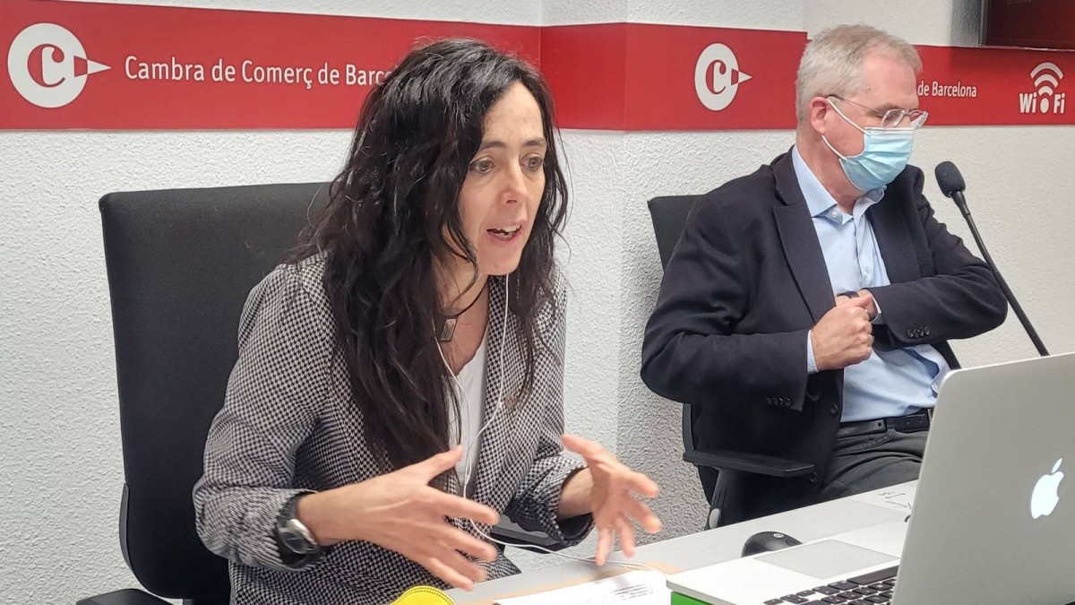 La Cambra demana una inversió de 59.024 milions en renovables fins al 2050