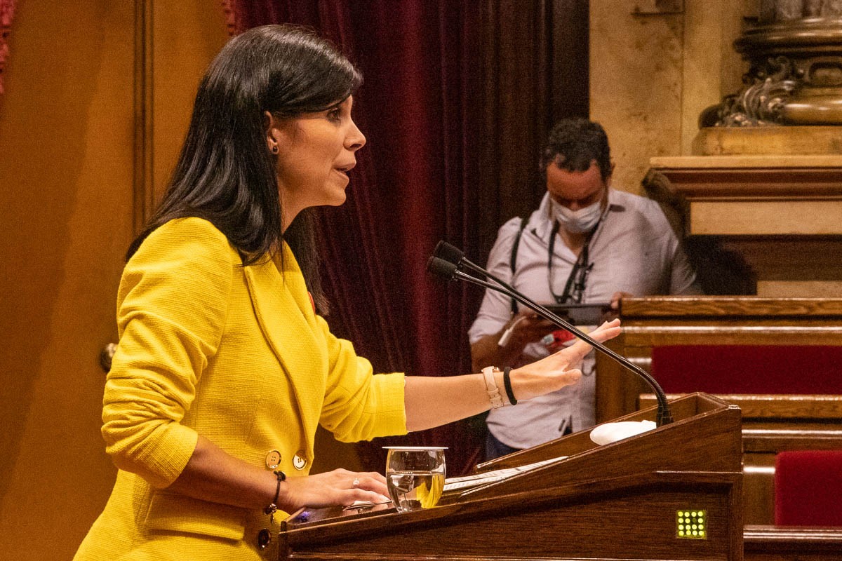 Vilalta assegura que són les discrepàncies internes a Junts les que desestabilitzen el Govern
