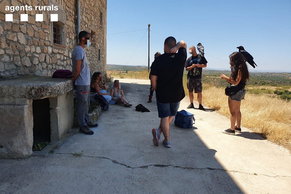 Denuncien una famosa «tiktoker» per fer volar tres corbs sense autorització a les Garrigues