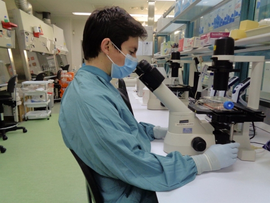 Així funciona el cervell de les persones bilingües