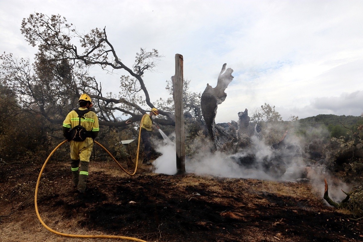 Tasques d'extinció de l'incendi - ACN