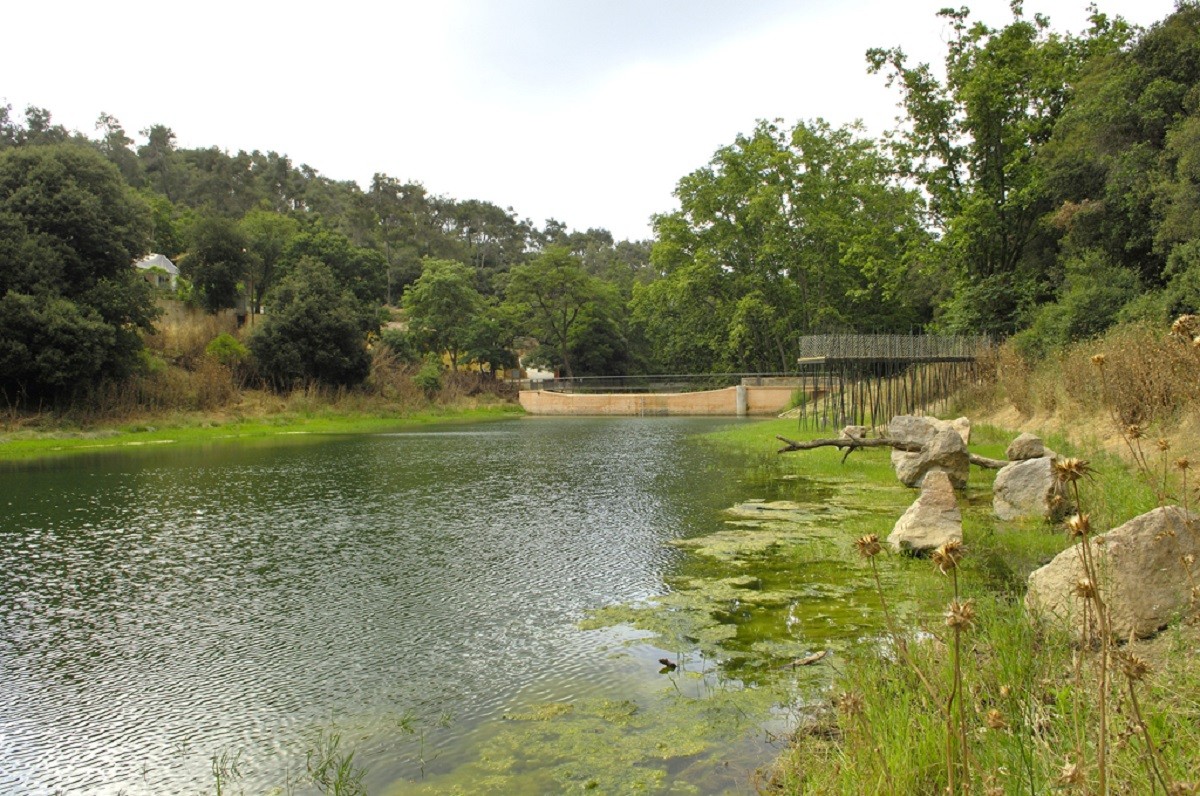 Espai d'interpretació del pantà de Vallvidrera - Parc Natural de Collserola